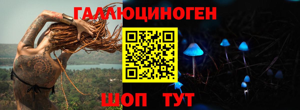 Абакан  Галлюциногенные грибы GOLDEN TEACHER  Вход с VPN 